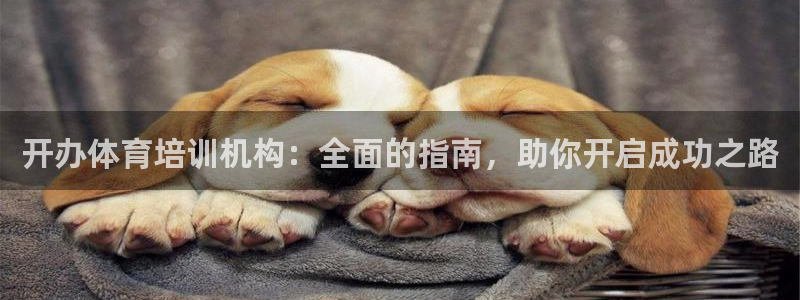尊龙AG发财网：开办体育培训机构：全面的指南，助你开