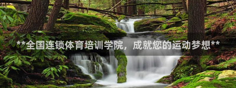 尊龙人生就是博旧：**全国连锁体育培训学院，成就您的