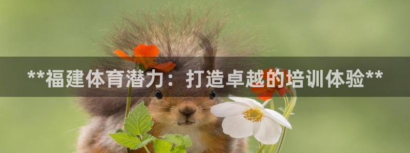 AG尊龙注册在线游戏：**福建体育潜力：打造卓越的培