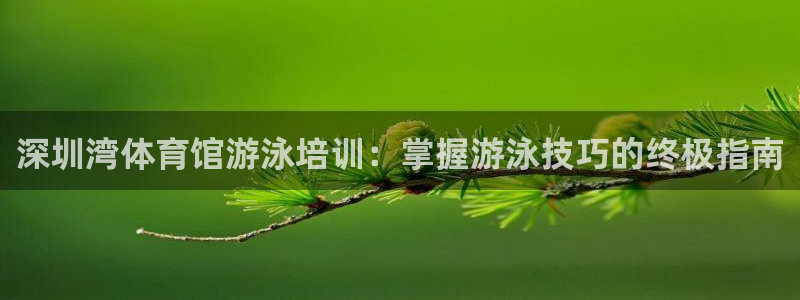 尊龙凯时赞助