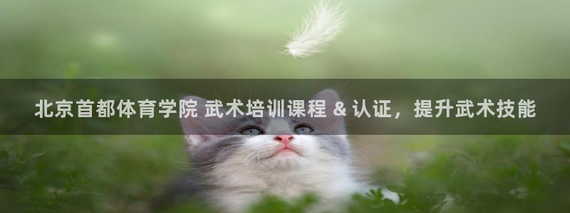 尊龙官网APP下载：北京首都体育学院 武术培训课程 