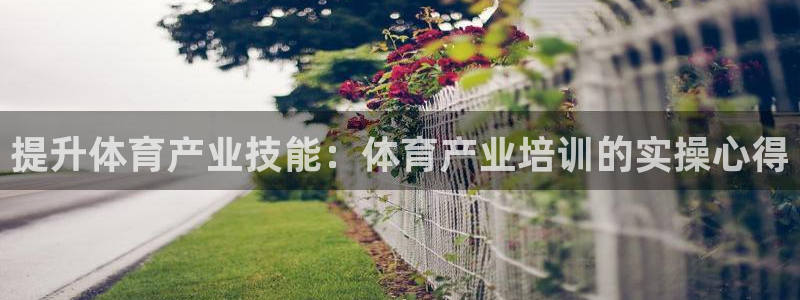z6尊龙z6：提升体育产业技能：体育产业培训的实操心