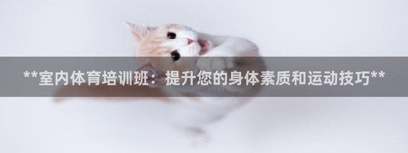 尊龙t600怎么样：**室内体育培训班：提升您的身体
