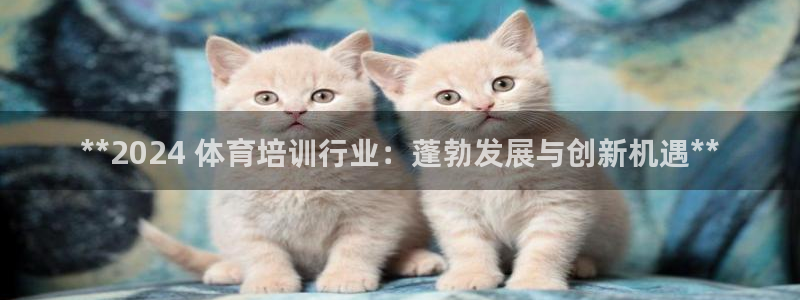 尊龙凯时老板