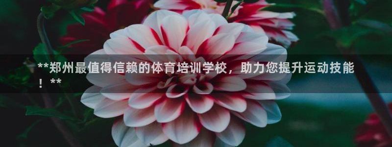 尊龙凯时和九游会哪个平台好一点：**郑州最值得信赖的