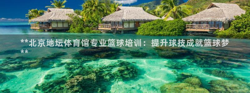 凯时国际app首页登录入口