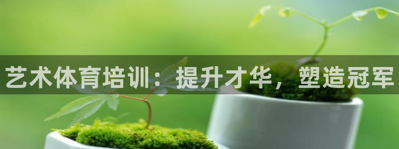 尊龙凯时网站赌愽做假吗：艺术体育培训：提升才华，塑造