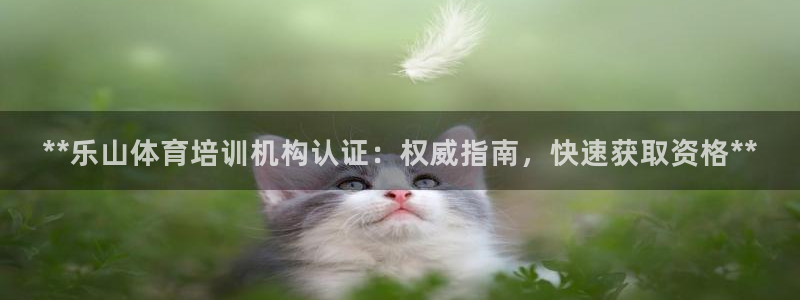 尊龙凯时老板是谁：**乐山体育培训机构认证：权威指南