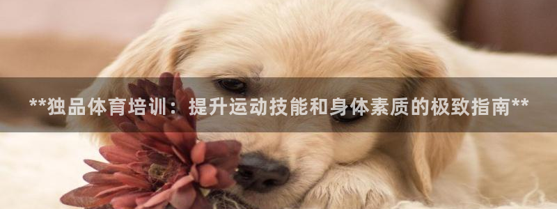 下载尊龙：**独品体育培训：提升运动技能和身体素质的极致指南