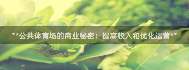 尊龙凯时提现不了：**公共体育场的商业秘密：提高收入
