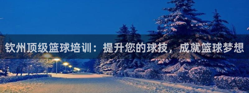 尊龙手机端下载