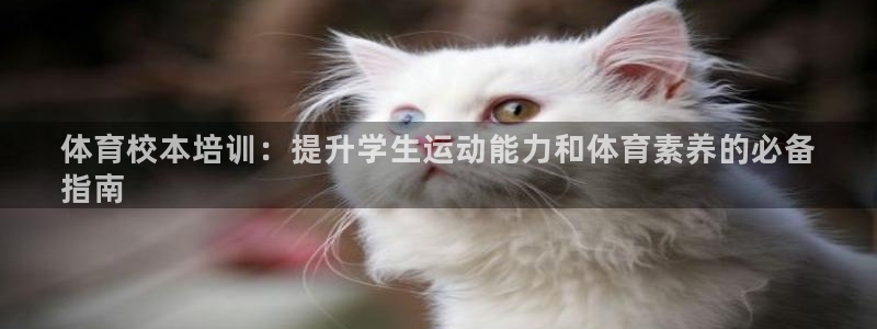 尊龙一生也走不出自己的童年：体育校本培训：提升学生运动能力和