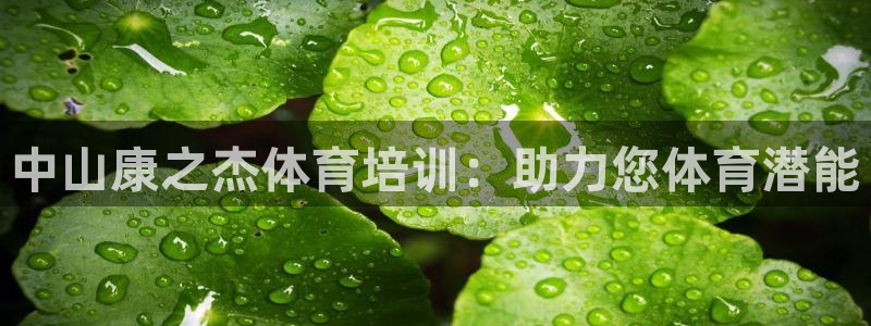 尊龙凯时白家乐Abb下载：中山康之杰体育培训：助力您体育潜能