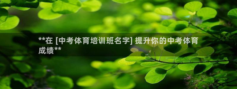 凯时官网手机版首页