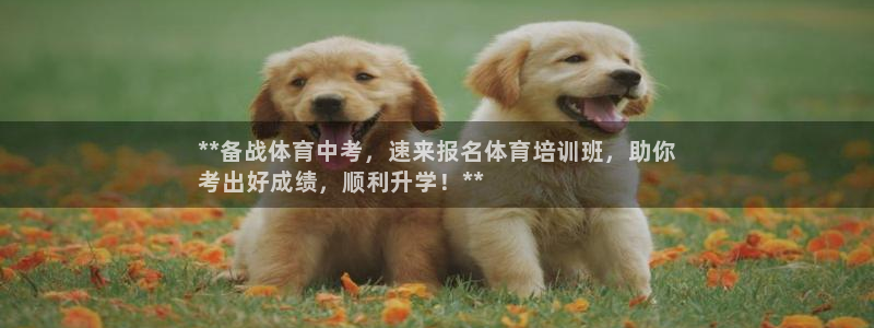 尊龙凯时网站赌愽是真的吗：**备战体育中考，速来报名体育培训