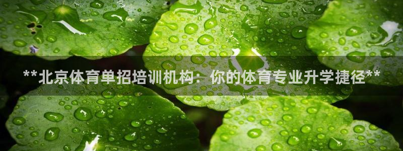 尊龙AG旗舰厅官网：**北京体育单招培训机构：你的体育专业升