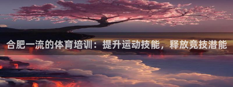 尊龙凯时ag旗舰厅：合肥一流的体育培训：提升运动技能