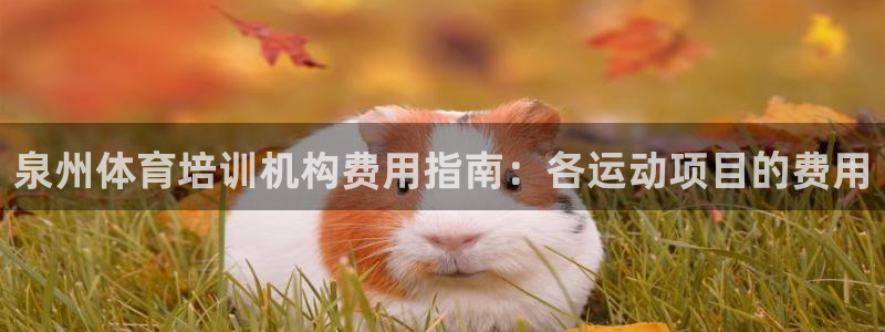 凯时国际app首页登录：泉州体育培训机构费用指南：各