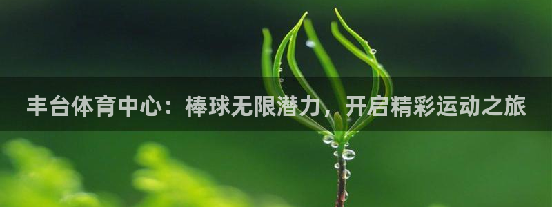 尊龙凯时提现不了：丰台体育中心：棒球无限潜力，开启精