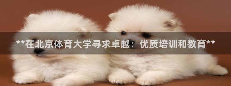 尊龙凯时干什么的：**在北京体育大学寻求卓越：优质培