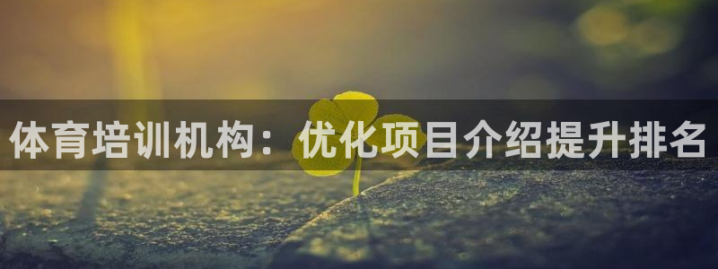 尊龙凯时ag旗舰厅官网客服：体育培训机构：优化项目介