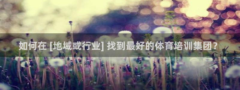尊龙凯时 人生就是搏!平台：如何在 [地域或行业] 