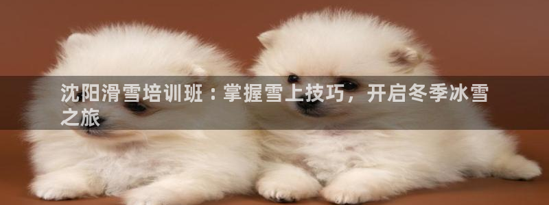 尊龙AG旗舰厅app下载：沈阳滑雪培训班 : 掌握雪