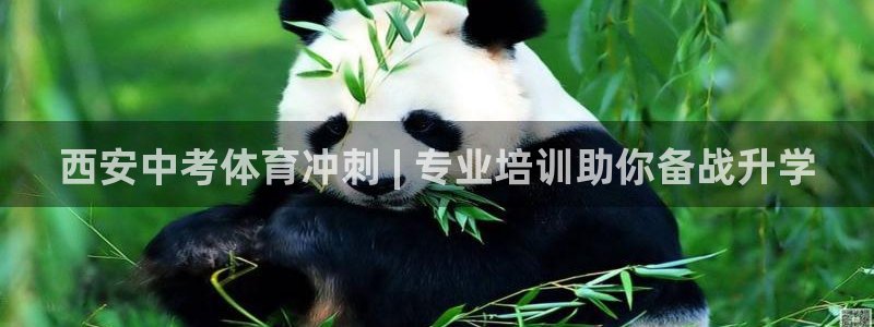尊龙网址苹果版下载：西安中考体育冲刺 | 专业培训助