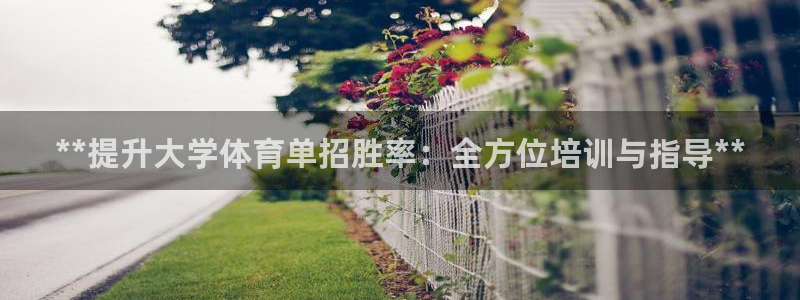 凯时平台登录：**提升大学体育单招胜率：全方位培训与