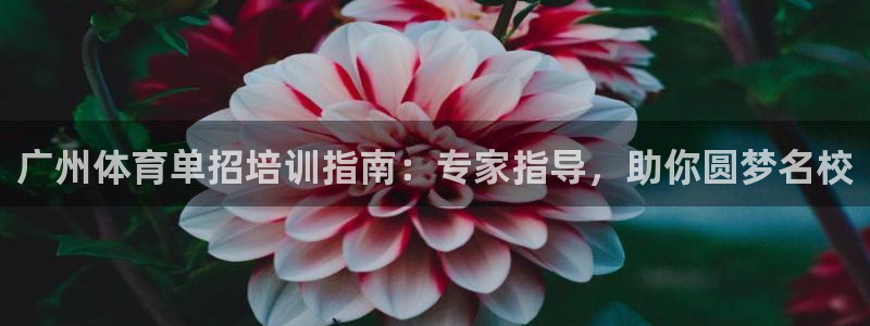 尊龙公司：广州体育单招培训指南：专家指导，助你圆梦名