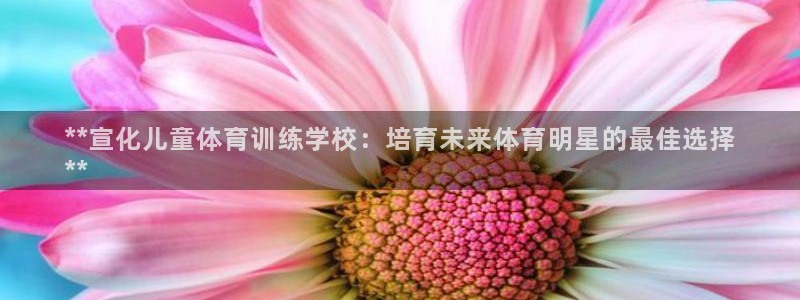 尊龙ktv怎么样：**宣化儿童体育训练学校：培育未来体育明星
