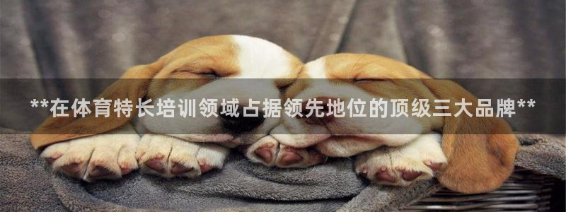 怎样能成为尊龙凯时平台的会员