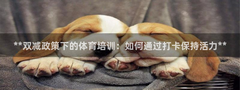 尊龙网站 人生就是博：**双减政策下的体育培训：如何通过打卡
