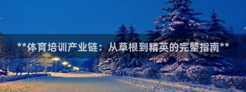 尊龙凯时人生就是搏包装优势：**体育培训产业链：从草
