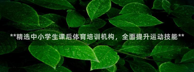 尊龙AG旗舰厅app下载：**精选中小学生课后体育培训机构，