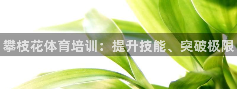尊龙凯时平台还是万搏好：攀枝花体育培训：提升技能、突