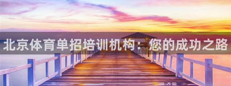 尊龙凯时人生就是搏技术实力：北京体育单招培训机构：您