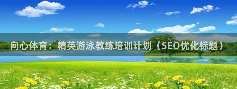 尊龙2016：向心体育：精英游泳教练培训计划（SEO优化标题