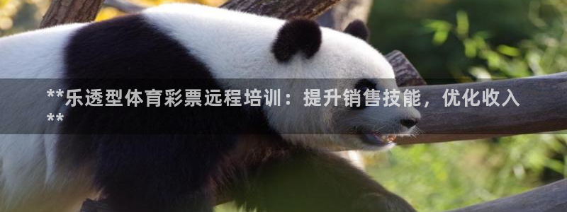 尊龙凯时vip：**乐透型体育彩票远程培训：提升销售
