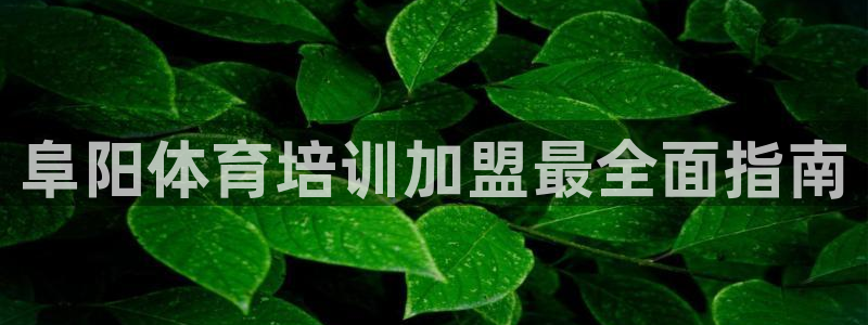 尊龙凯时人生就是搏!官网：阜阳体育培训加盟最全面指南