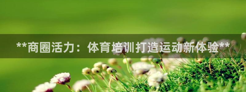 尊龙 10：**商圈活力：体育培训打造运动新体验**