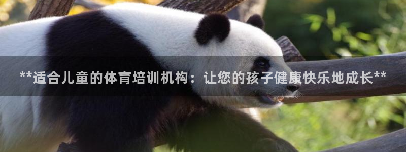 尊龙凯时存款多久到账：**适合儿童的体育培训机构：让