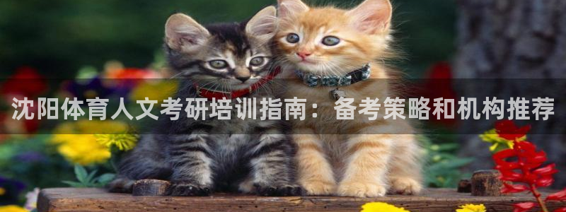 尊龙凯时平台信誉怎样：沈阳体育人文考研培训指南：备考