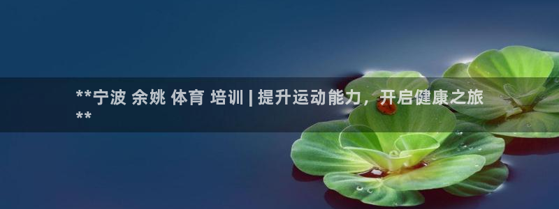 凯时官网手机版下载：**宁波 余姚 体育 培训 | 