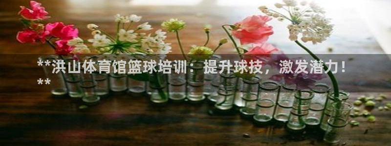 尊龙凯时人生就是博官网登录：**洪山体育馆篮球培训：