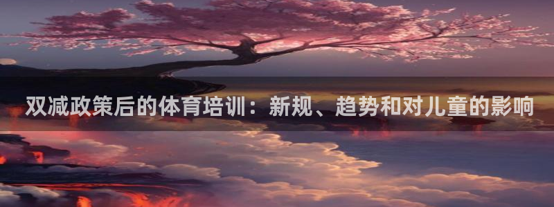 尊龙凯时ag旗舰厅官： 双减政策后的体育培训：新规、趋势和对