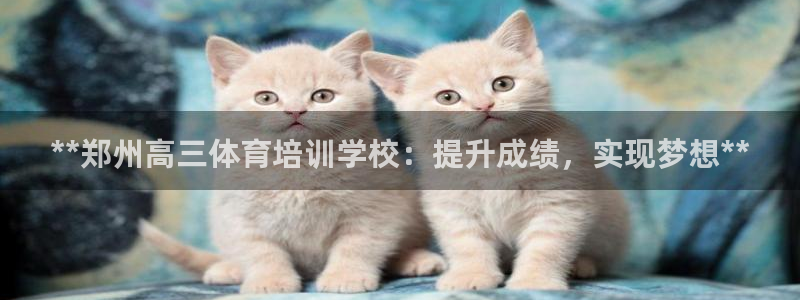 尊龙凯时游戏厅：**郑州高三体育培训学校：提升成绩，