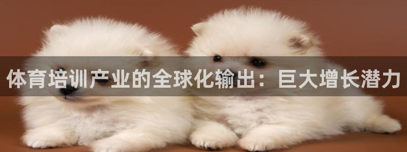 凯时app官方首页：体育培训产业的全球化输出：巨大增