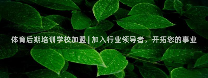 尊龙凯时ag旗舰厅官网客服：体育后期培训学校加盟 | 加入行