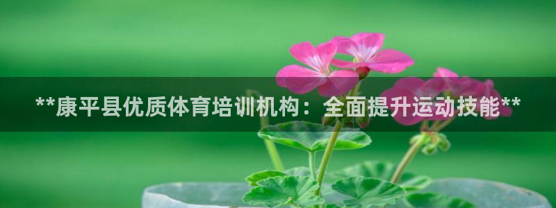 尊龙凯时是赌博嘛：**康平县优质体育培训机构：全面提